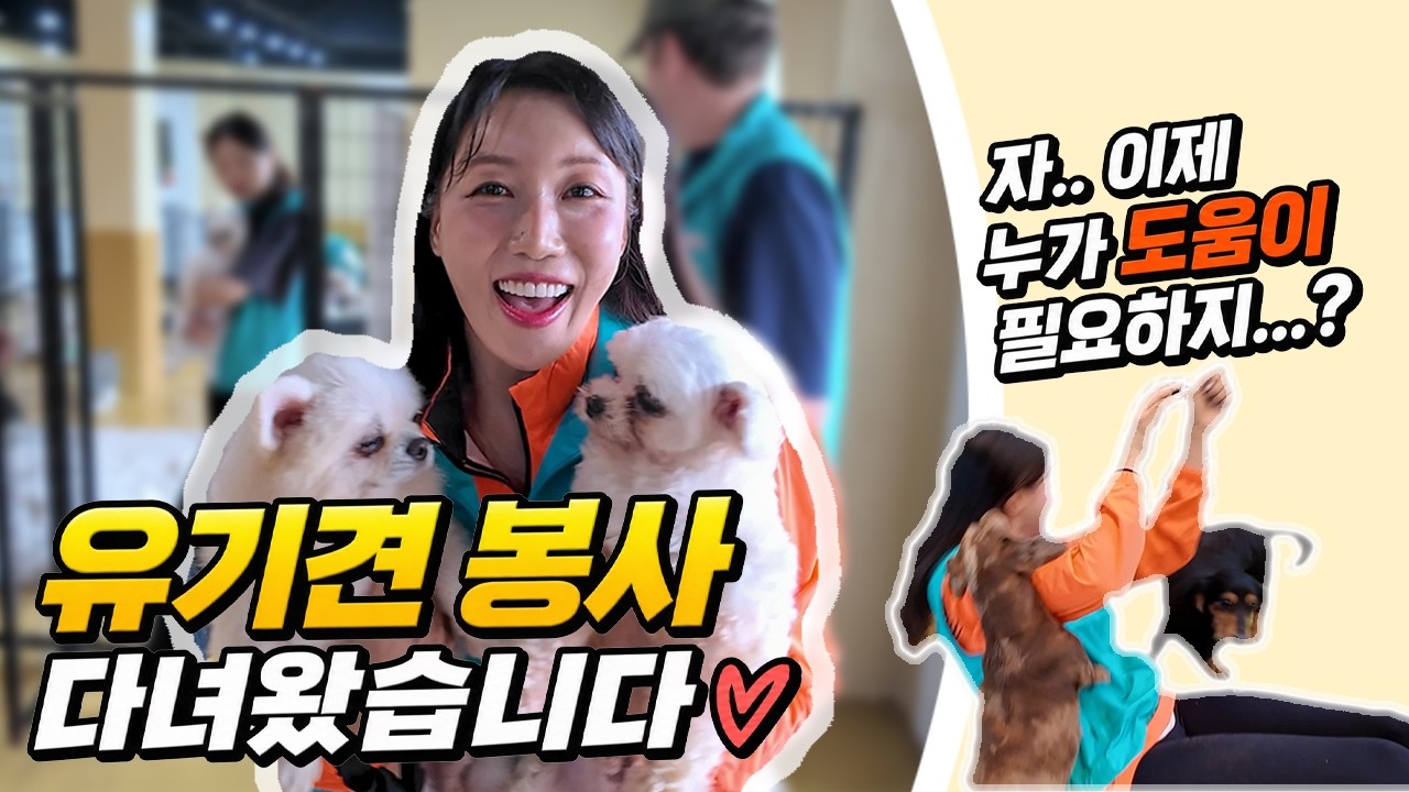 "오늘 저녁 6시 투데이 이슈로 인사드려요"…두리, '서울 깍쟁이 챌린지' 출연 예고